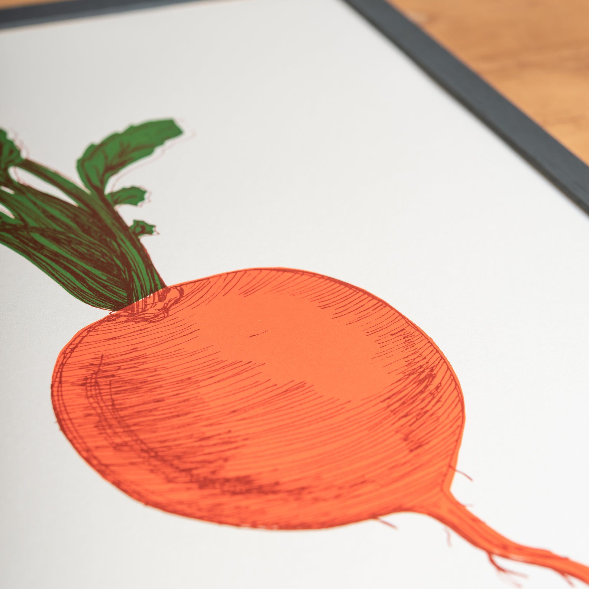 Orange Swede vegetable print by Lottie Day – limited edition silk screen wall art with Norfolk allotment-inspired illustratio