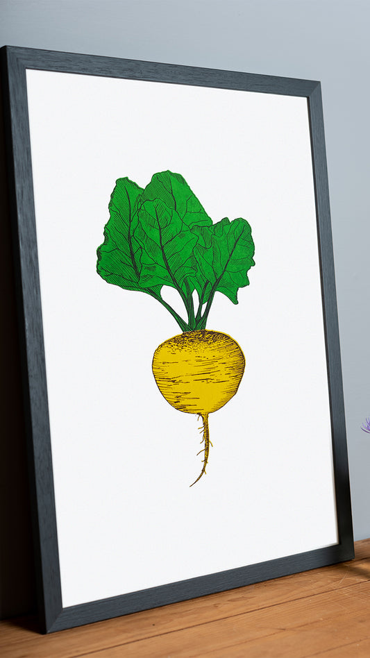 Golden Beet vegetable print by Lottie Day – limited edition silk screen artwork inspired by Norfolk-grown root vegetables