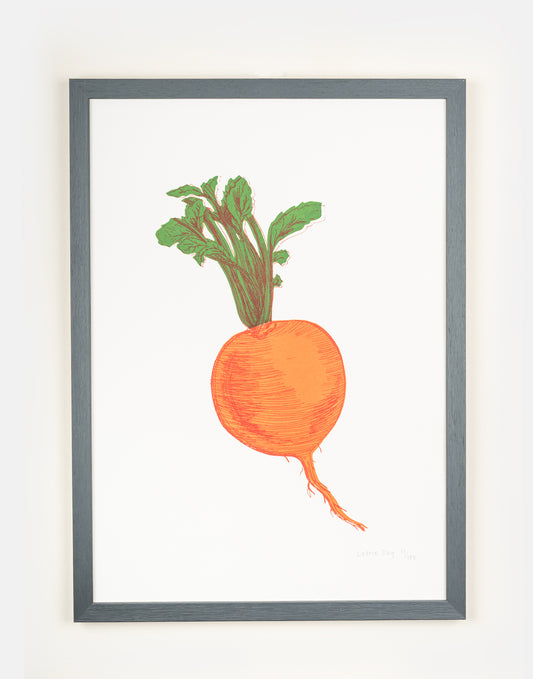 Orange Swede vegetable print by Lottie Day – limited edition silk screen wall art with Norfolk allotment-inspired illustratio