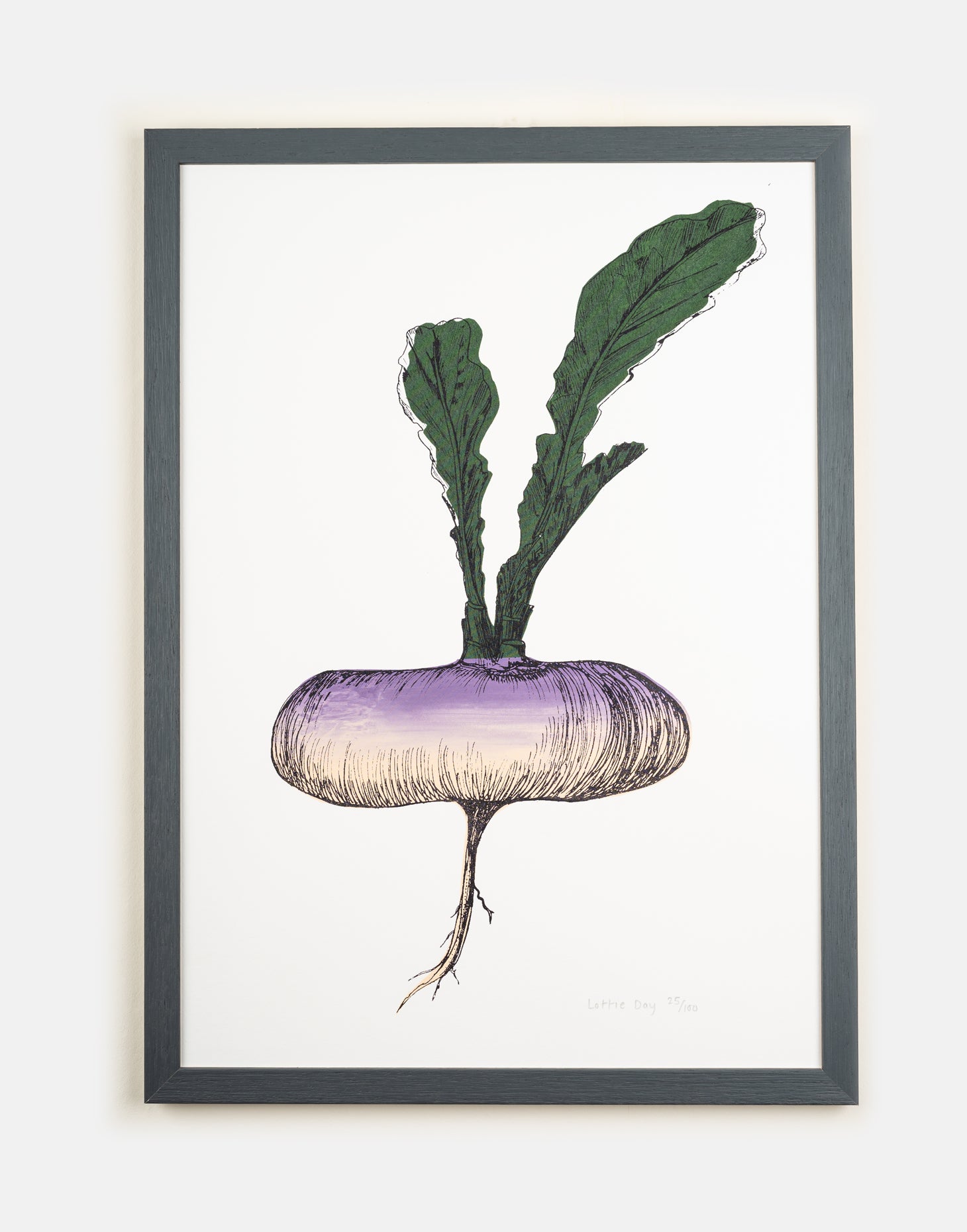 Purple Turnip vegetable print by Lottie Day – handmade silk screen art featuring Norfolk allotment-grown root vegetable illustration