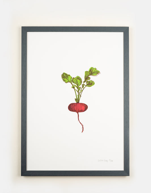 Radish vegetable art print by Lottie Day – limited edition silk screen print inspired by Norfolk allotment produce
