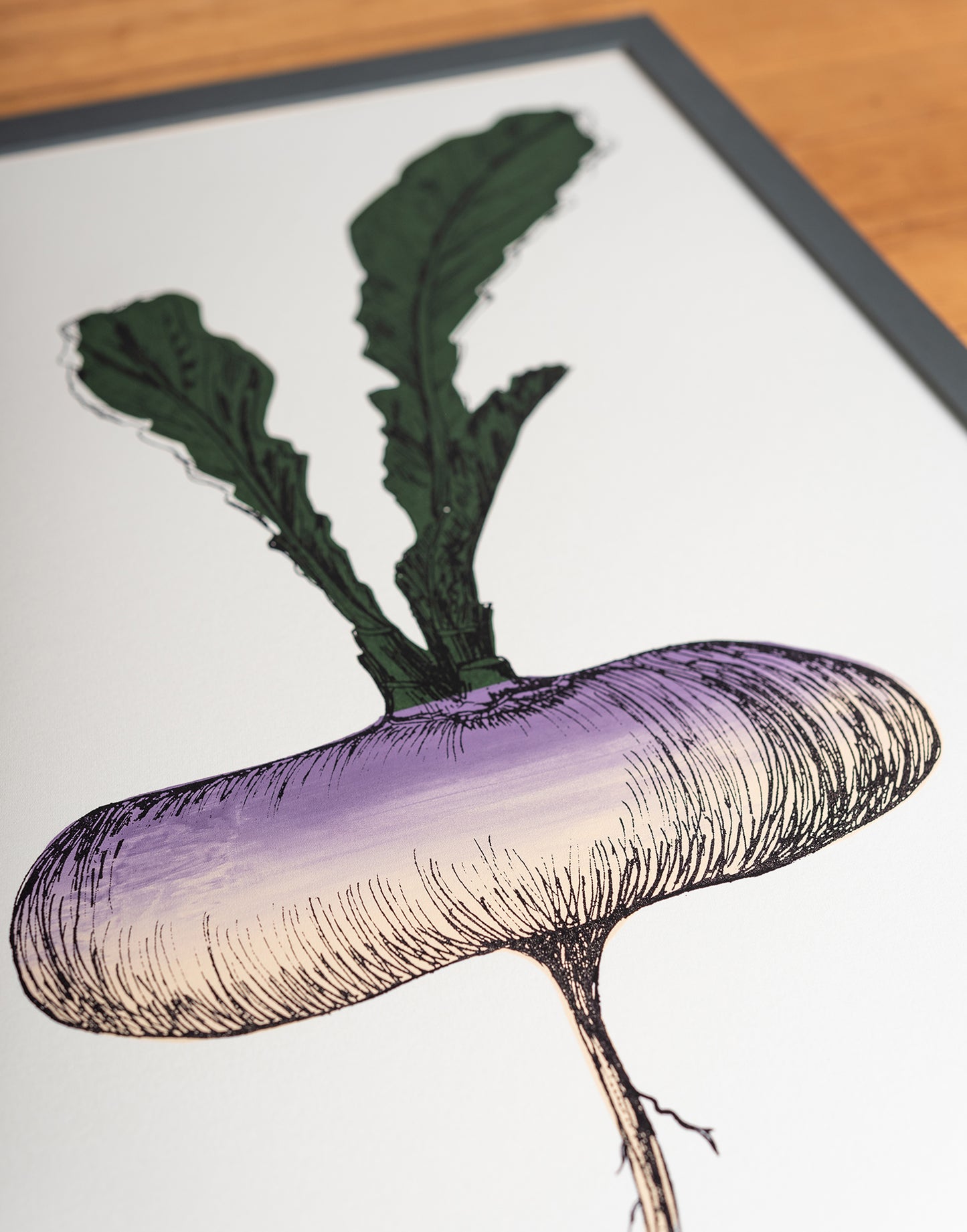Purple Turnip vegetable print by Lottie Day – handmade silk screen art featuring Norfolk allotment-grown root vegetable illustration