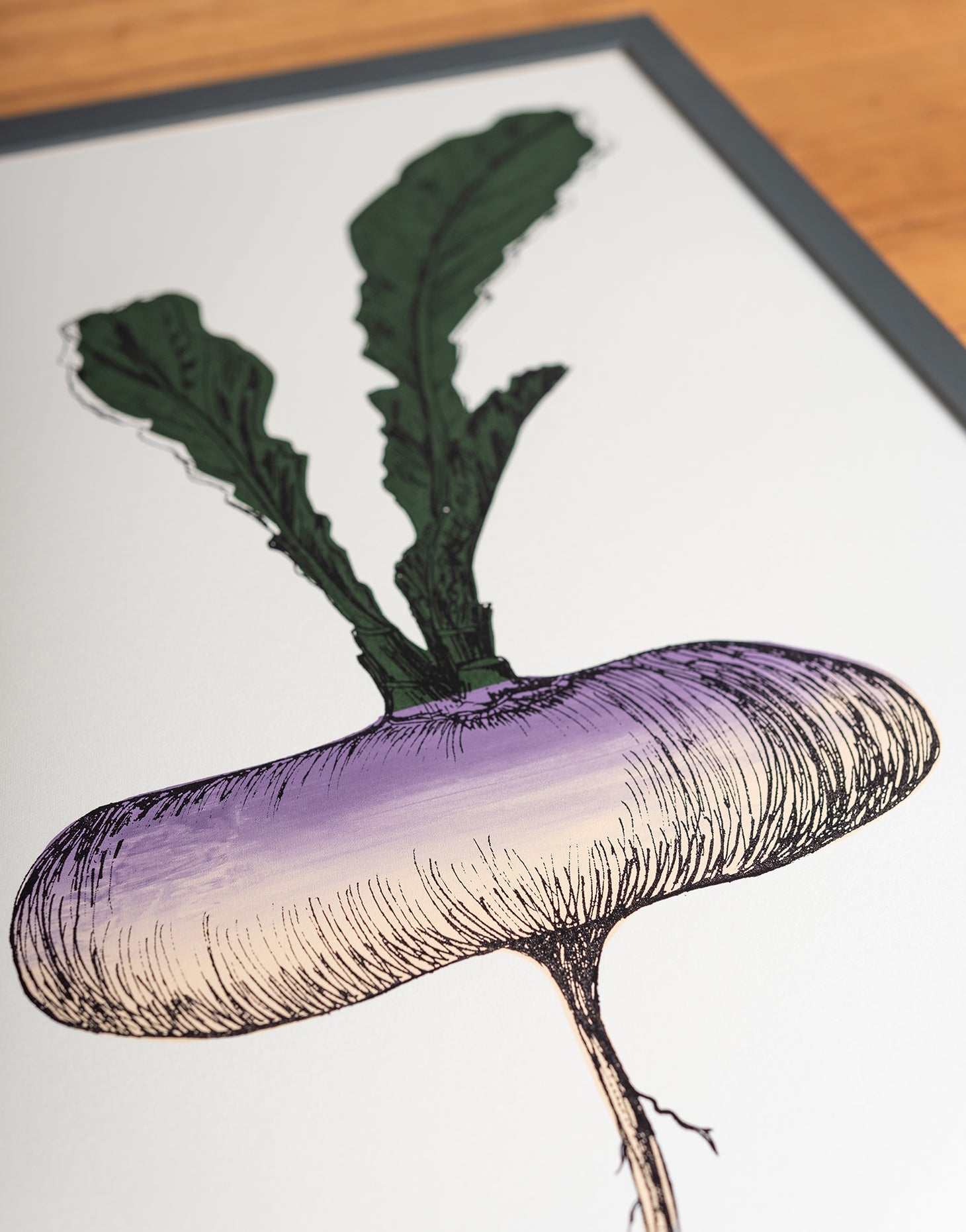 Purple Turnip vegetable print by Lottie Day – handmade silk screen art featuring Norfolk allotment-grown root vegetable illustration